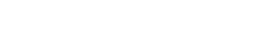 insightpartner — strategy and advisory